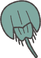 カブトガニイラスト緑色