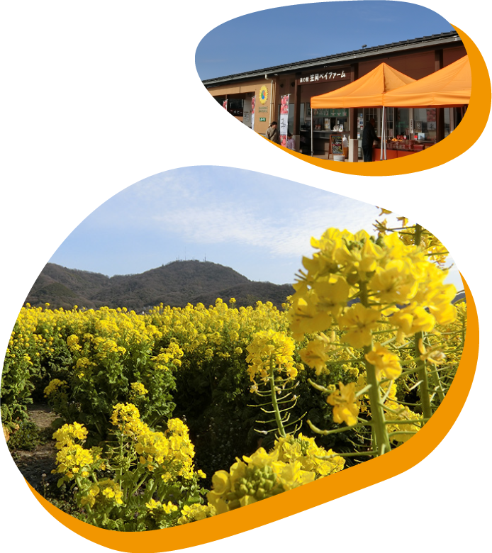 道の駅
笠岡ベイファーム